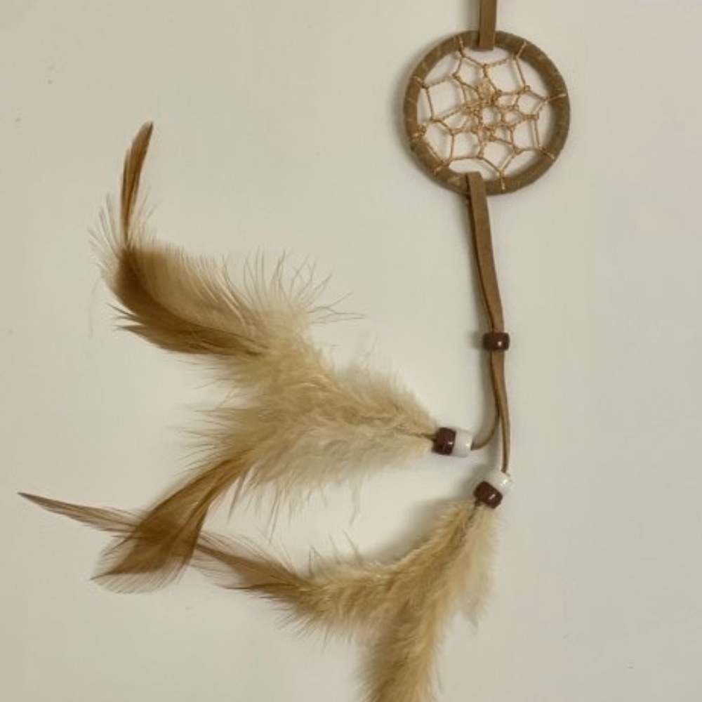 Legend of the Dreamcatcher